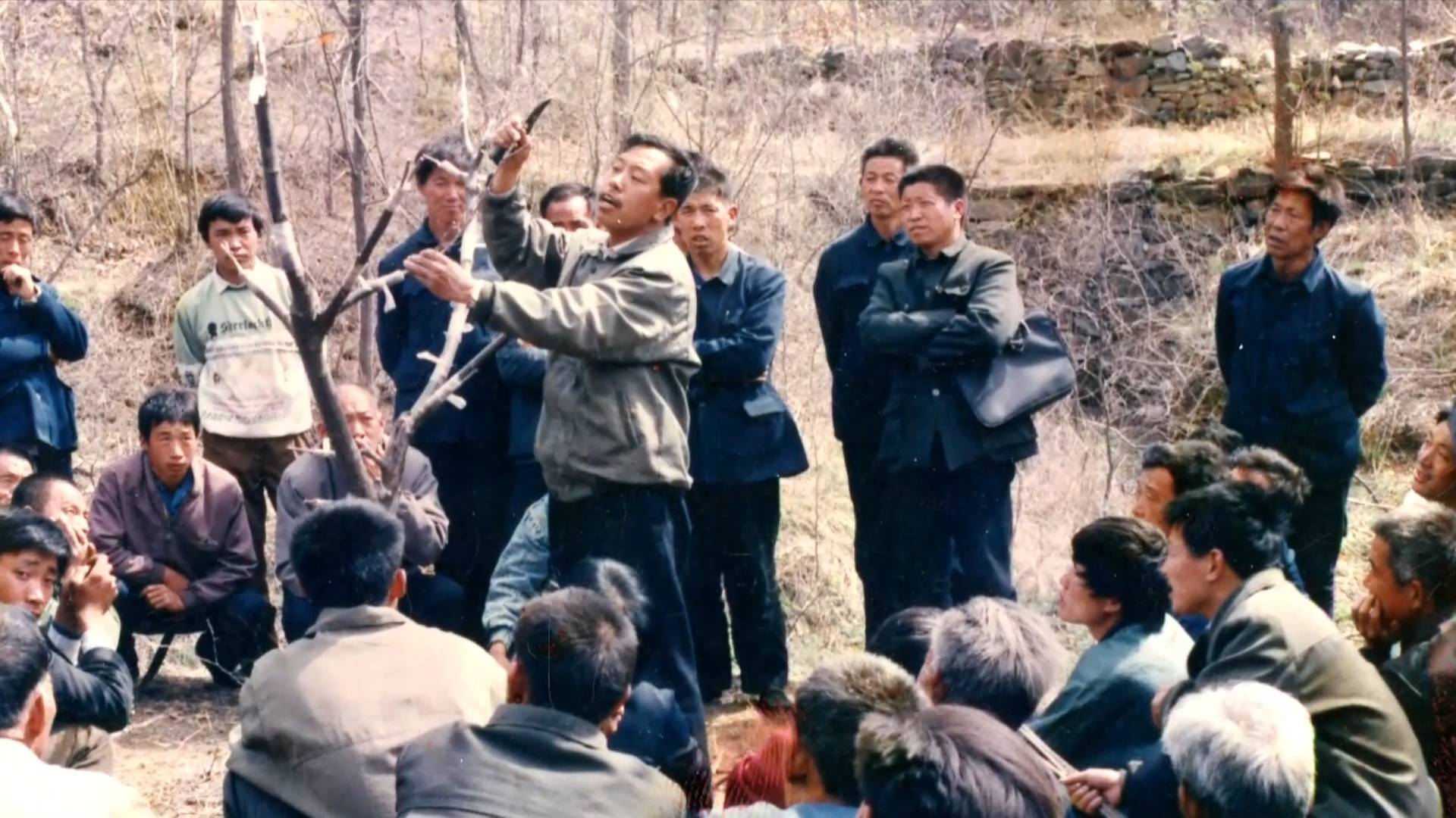 奋斗百年路启航新征程数风流人物李保国扎根太行山的农民教授