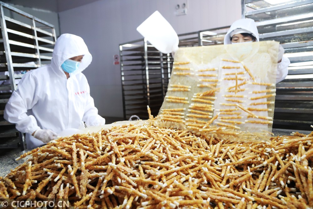 山东青岛:宠物食品生产忙