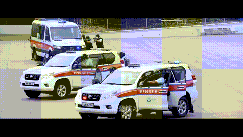 中式步操帅反恐演习燃