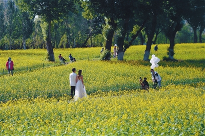 新甫京娱乐怎么下载 Home