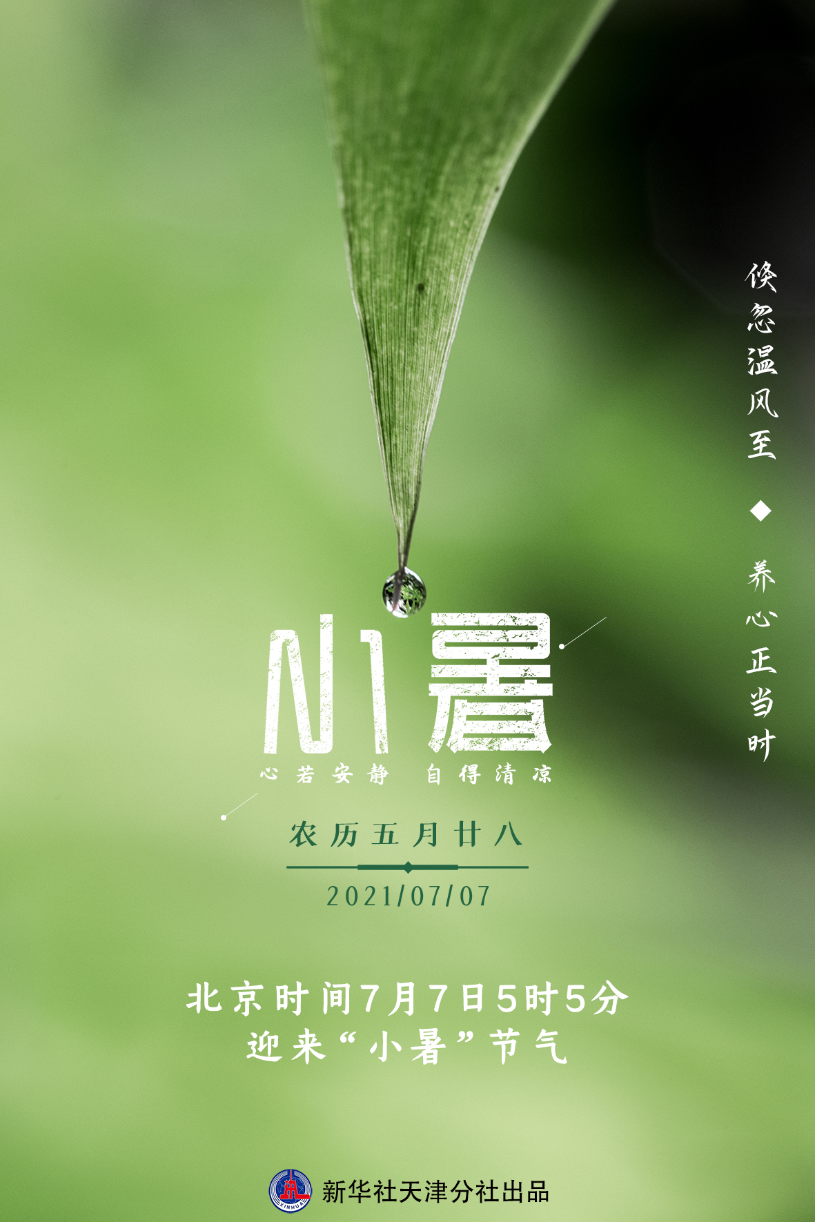 7日小暑三伏启幕