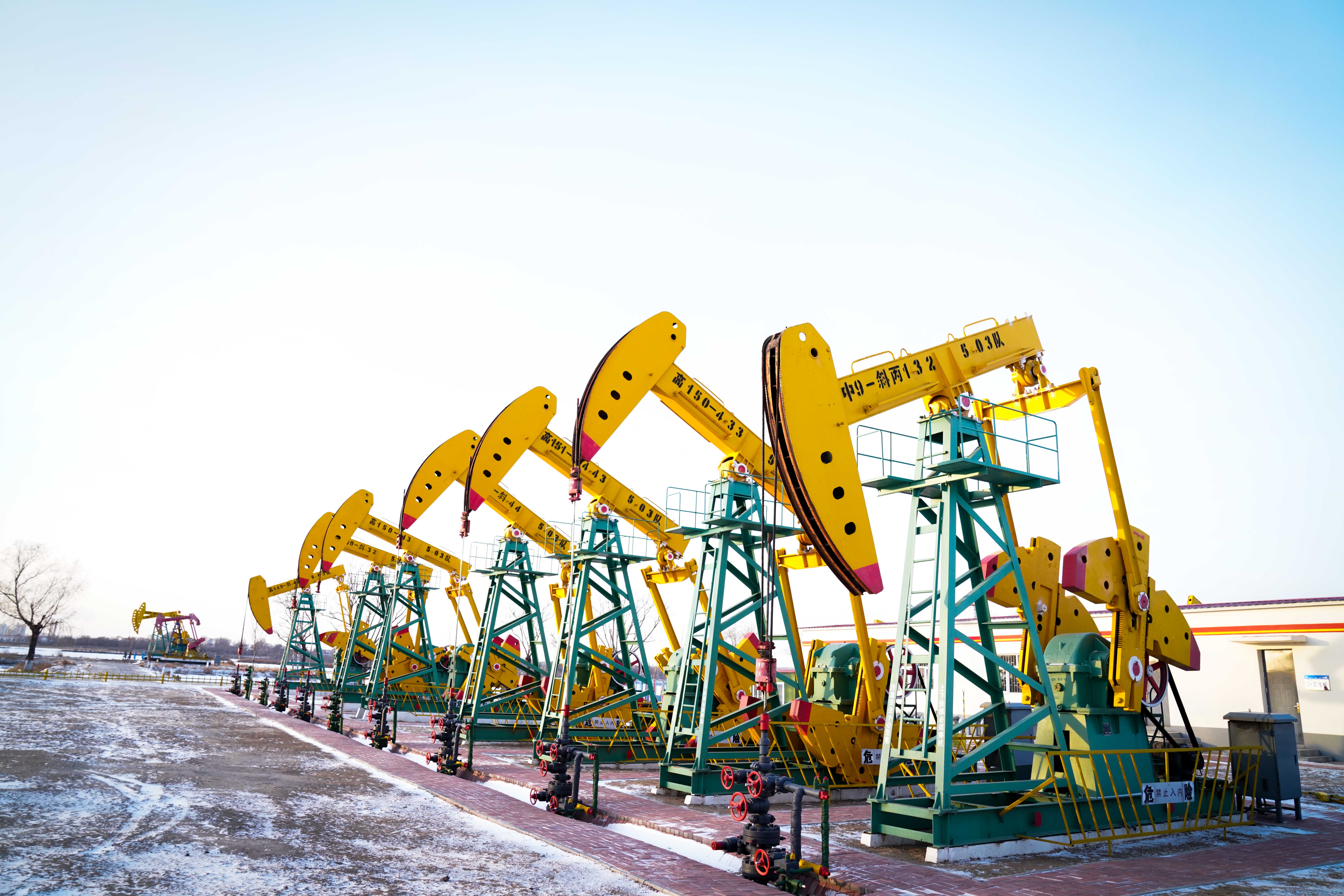 图片说明:资料图,油田井组群,新华社发证监会表示,原油,棕榈油是重要