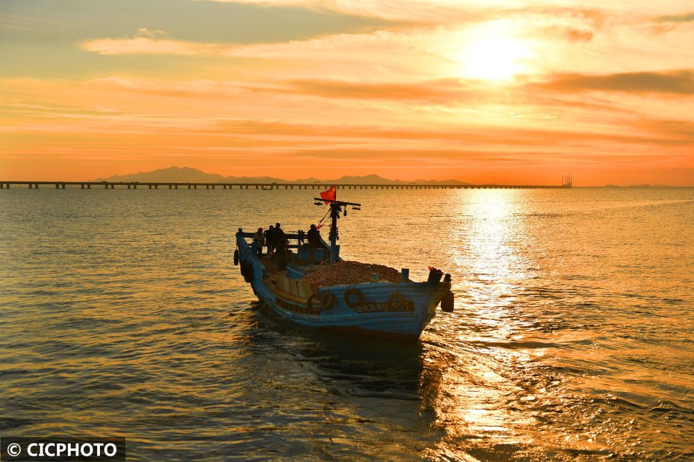 山东青岛海上粮仓播种忙