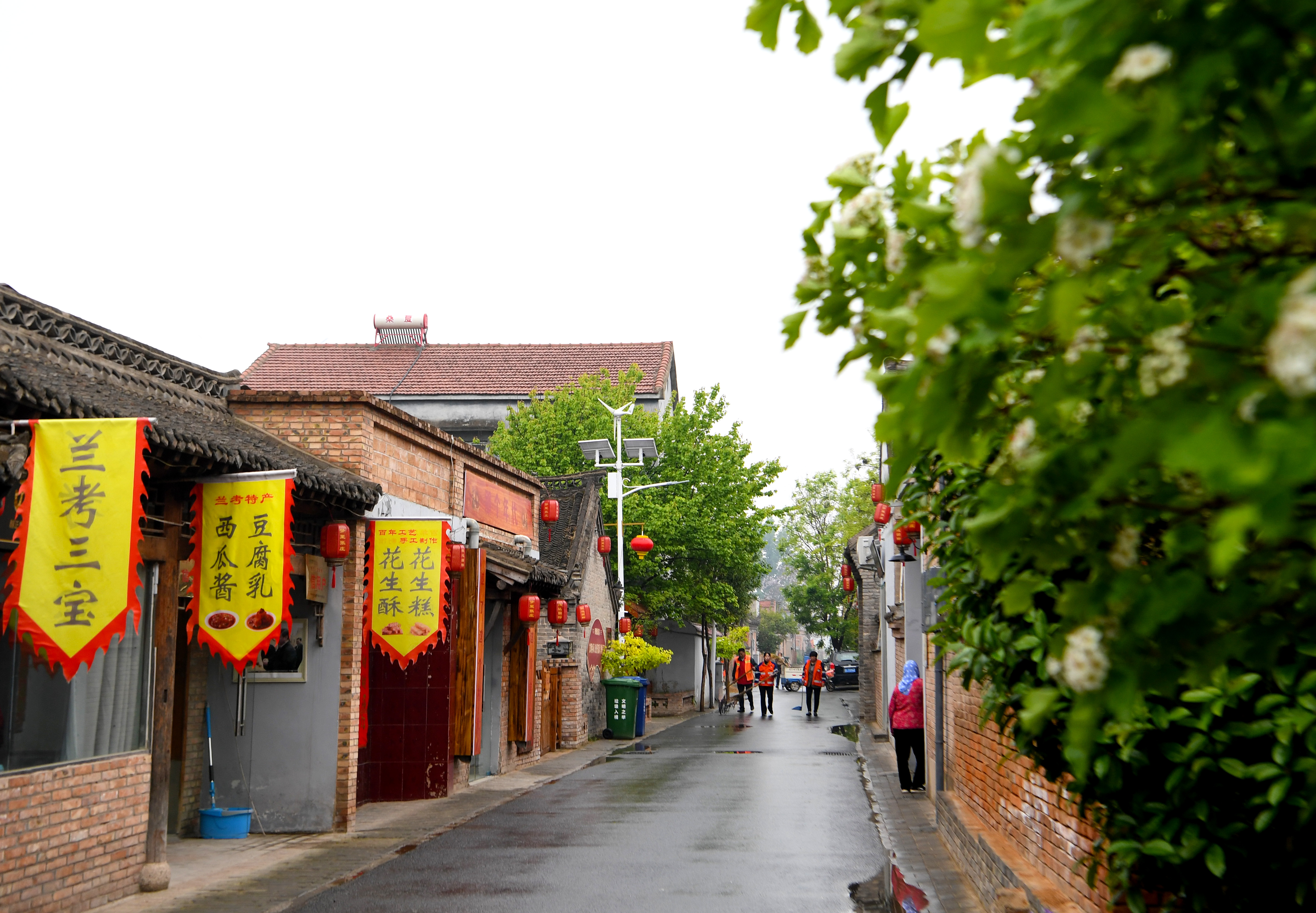 幸福张庄从梦里走出来