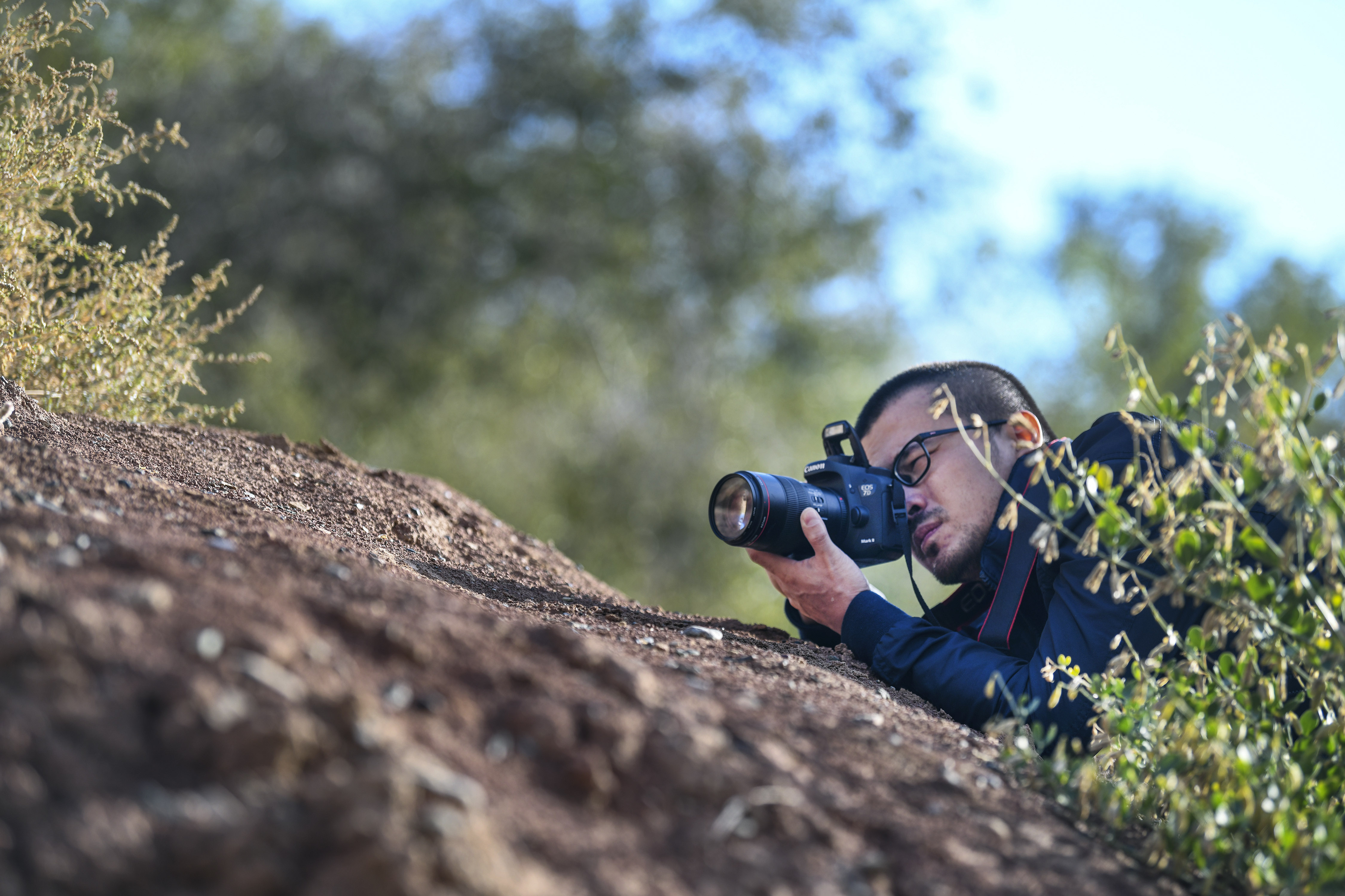 进沙漠翻高山下峡谷植物猎人为保护植物而痴
