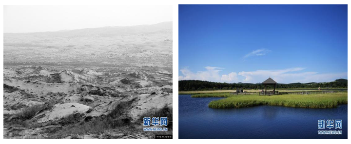 从塞罕坝到碳中和数看美丽中国的绿色底色