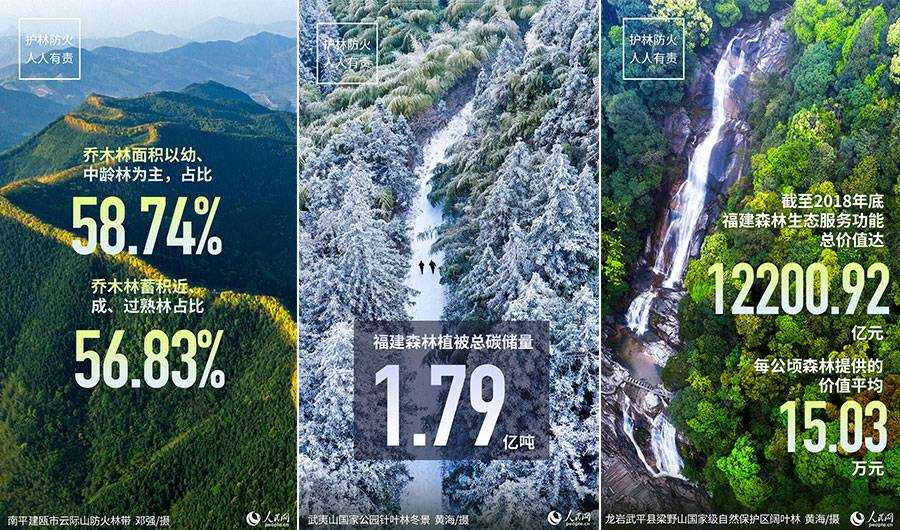 国际森林日领略中国最绿省份之美