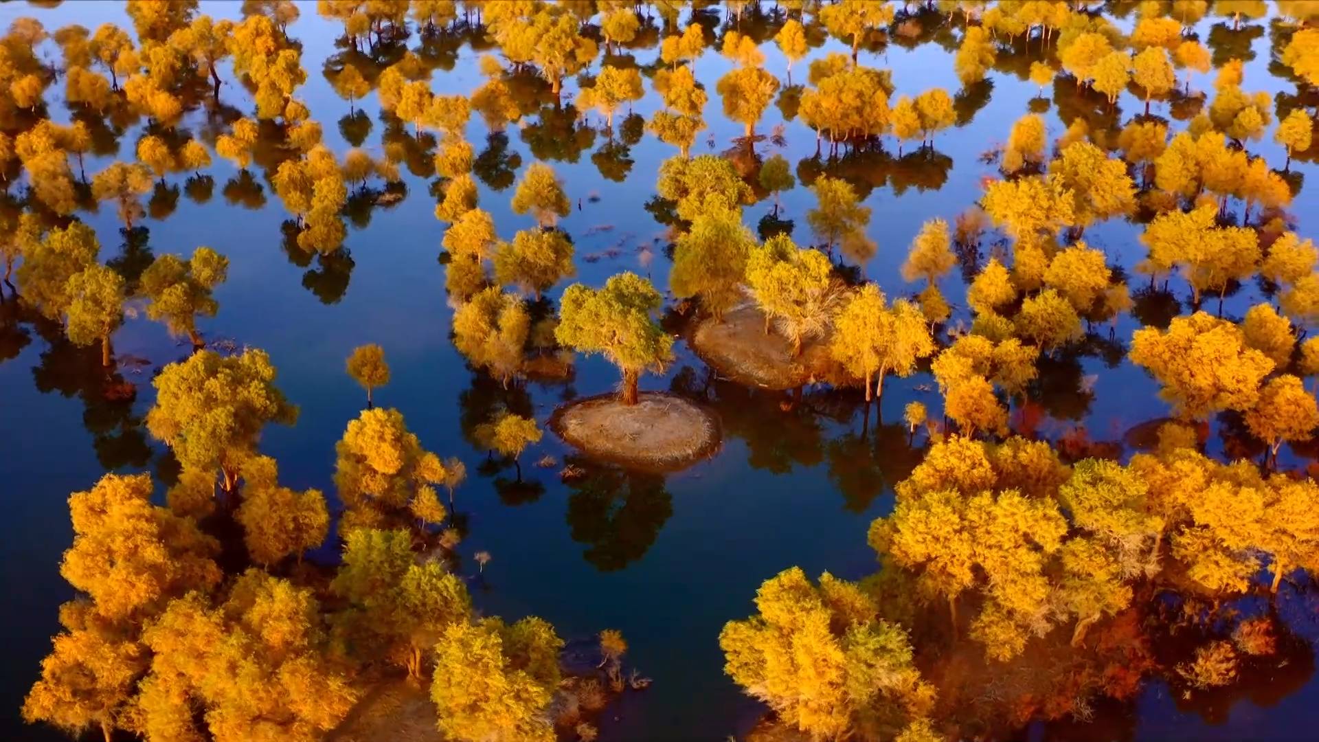 新疆罗布淖尔国家湿地公园迎来最美季节