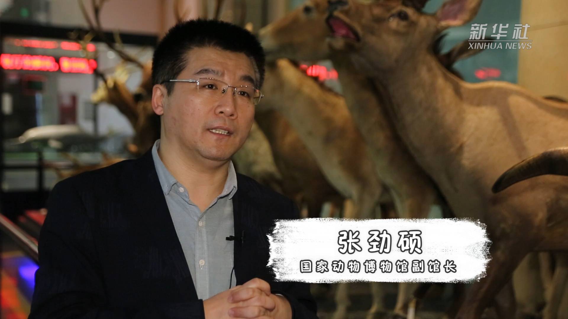 共建地球生命共同体来博物馆体验动物多样性宝库