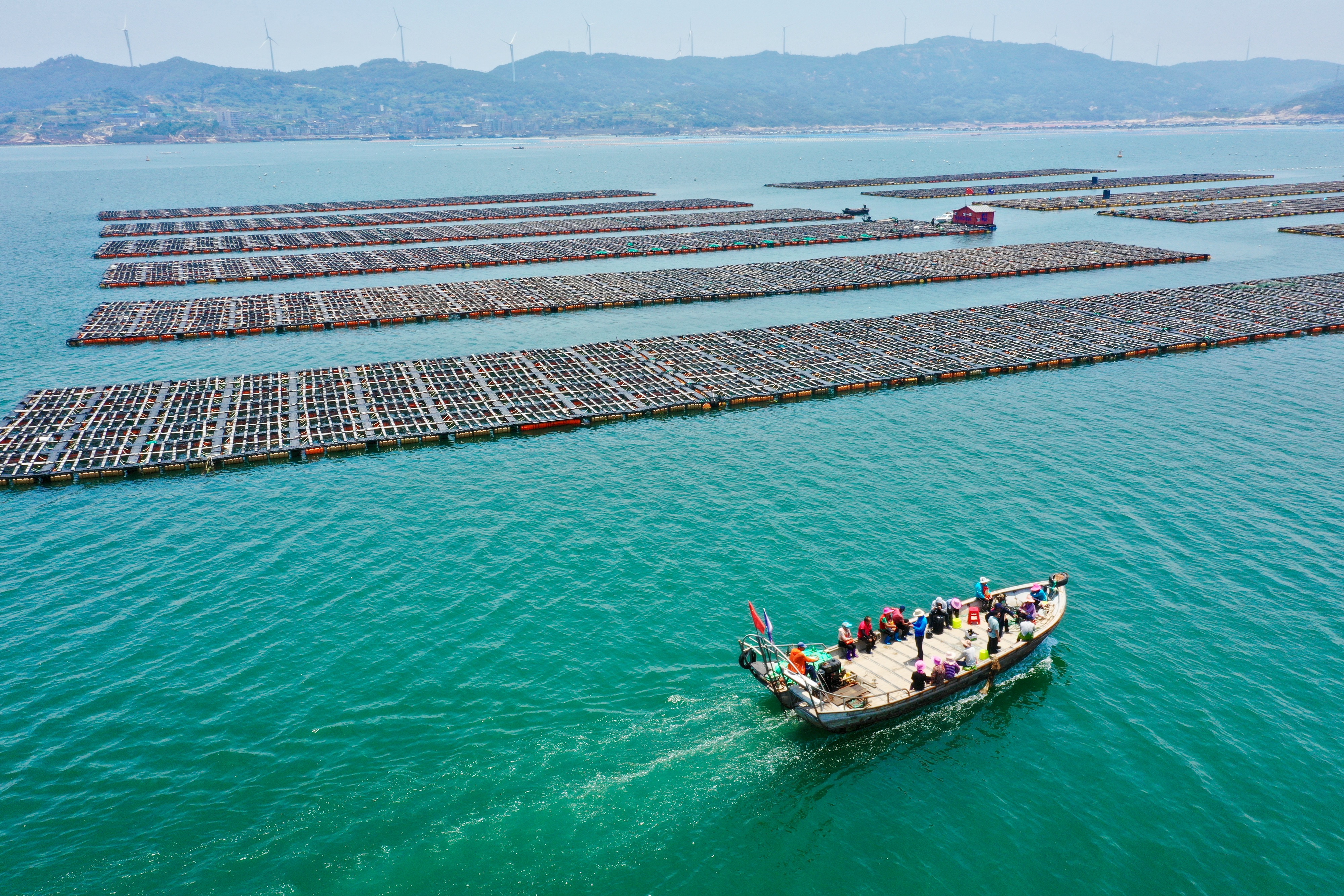 污染就会死亡随着人工育苗成功,1996年,连江海上养殖鲍鱼大规模铺开鲍