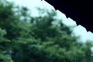 清明|一封写给思念的信…