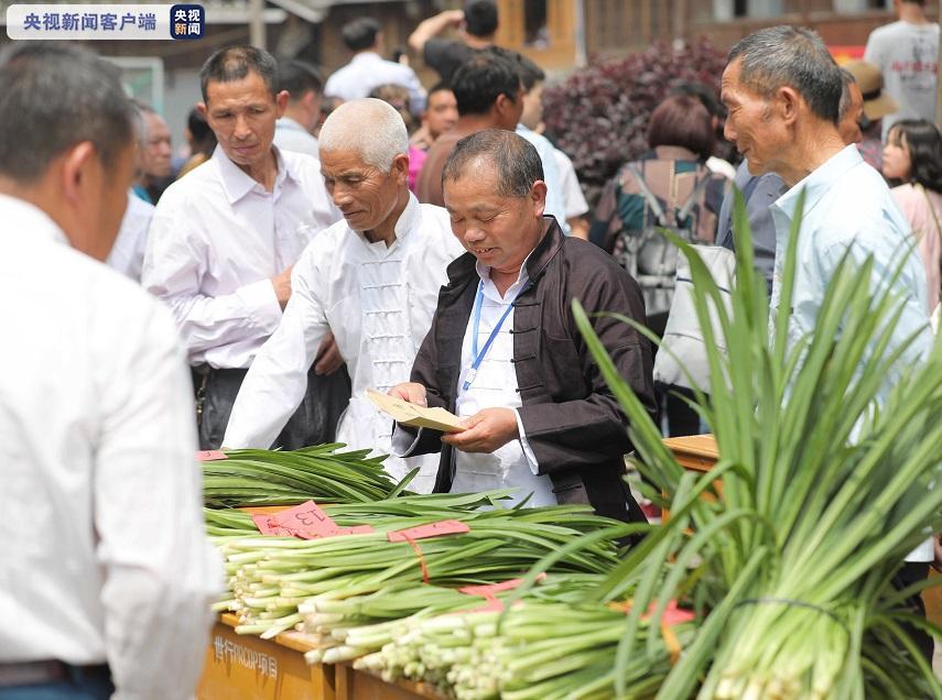 柳州三江特色民族风侗乡韭菜节来啦