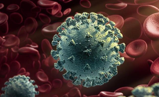 美国最大病毒扩散国