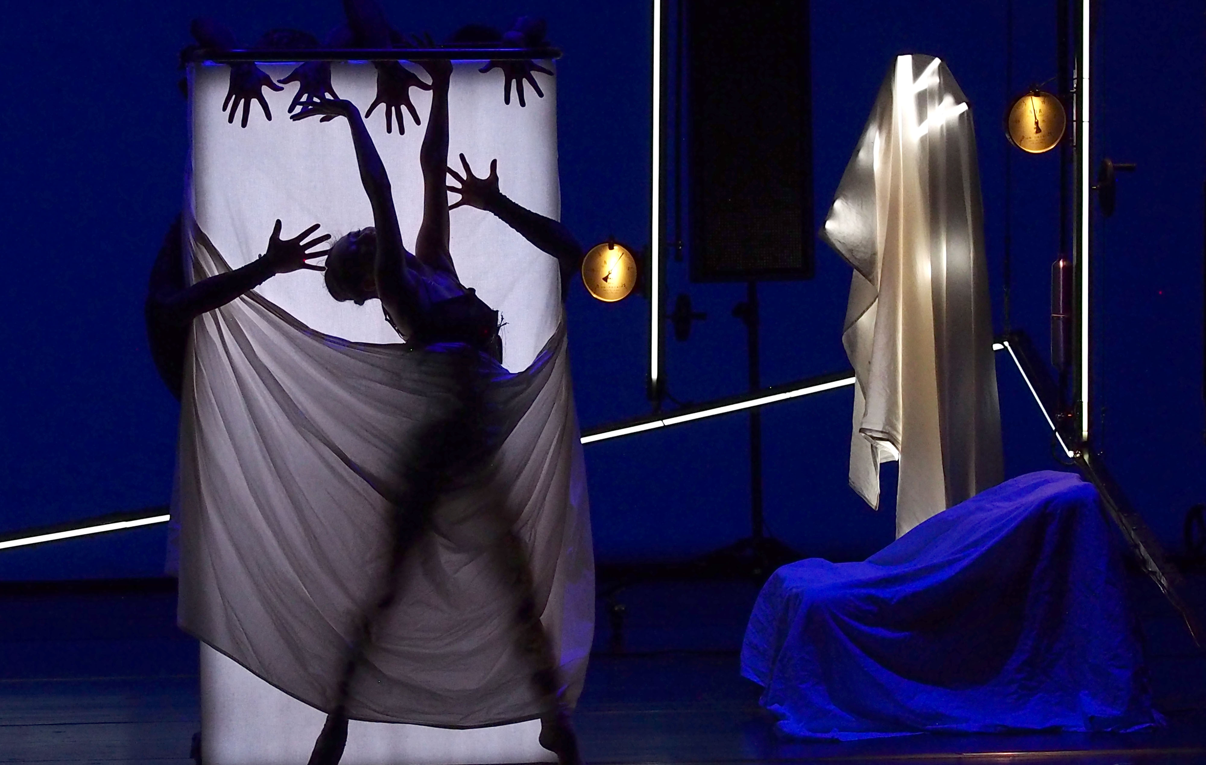 舞蹈2月3日晴在沪上演