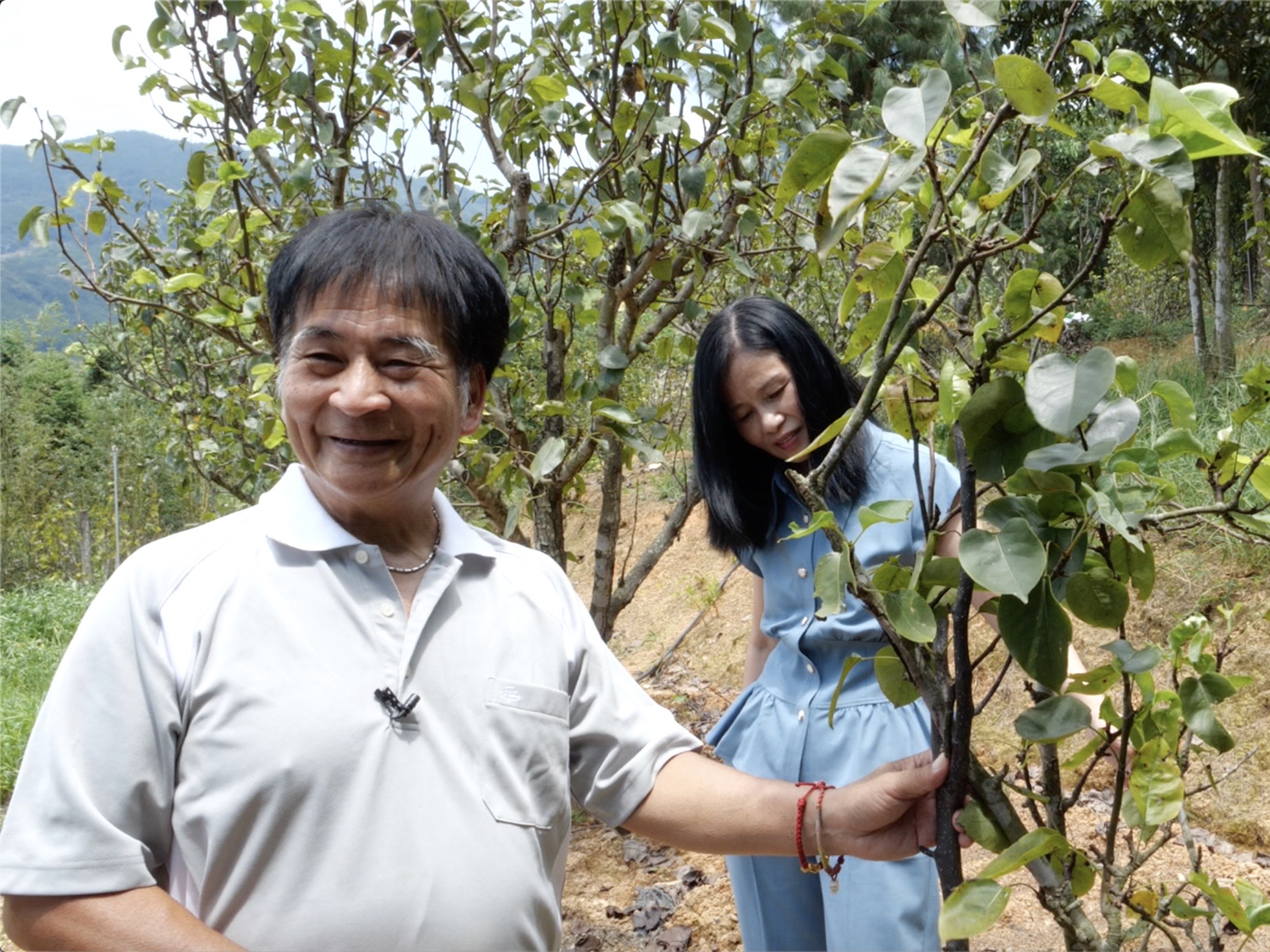 咱村的新老乡丨我包山头垦荒野