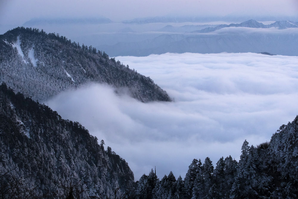 奇峰云海入画来