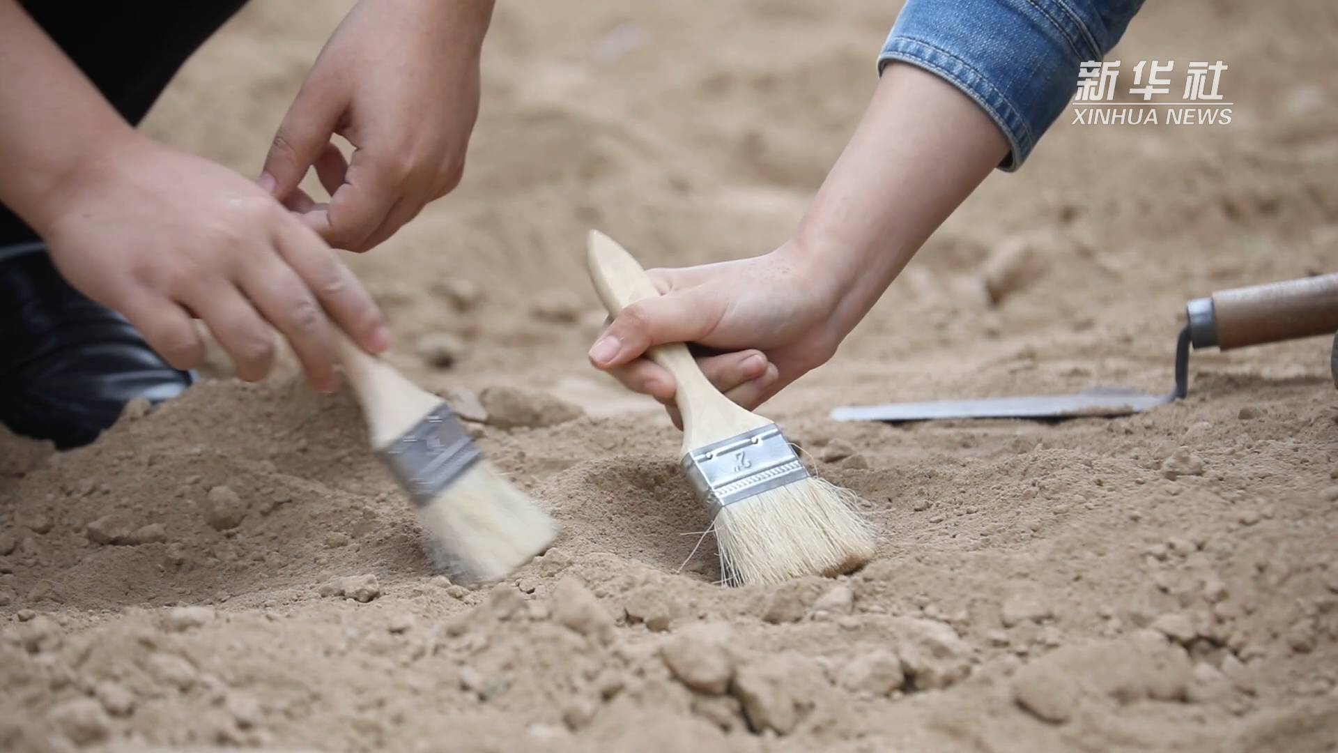 新华全媒田野考古是啥样快来跟新华社小姐姐体验挖宝