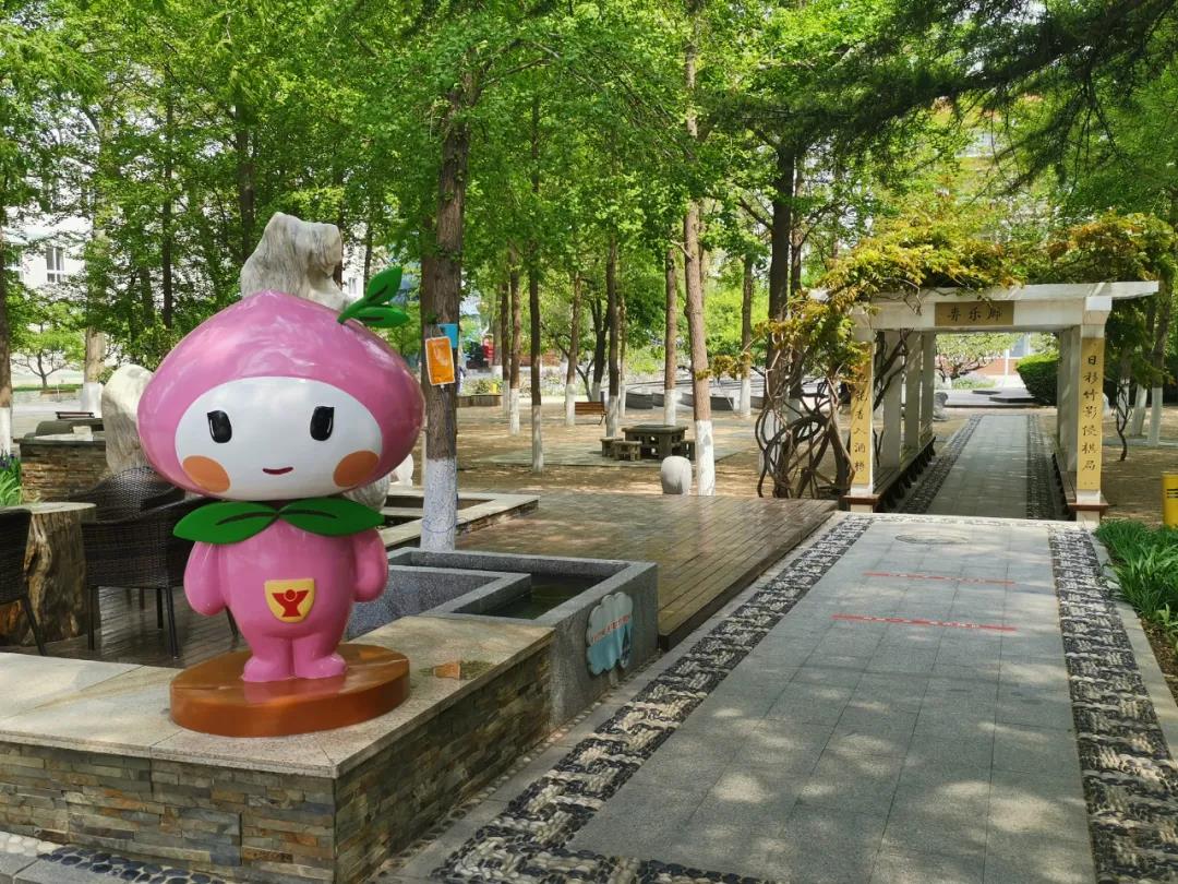 作为校园吉祥物的"小桃桃",是由当时在育英学校的小学生自己设计的.