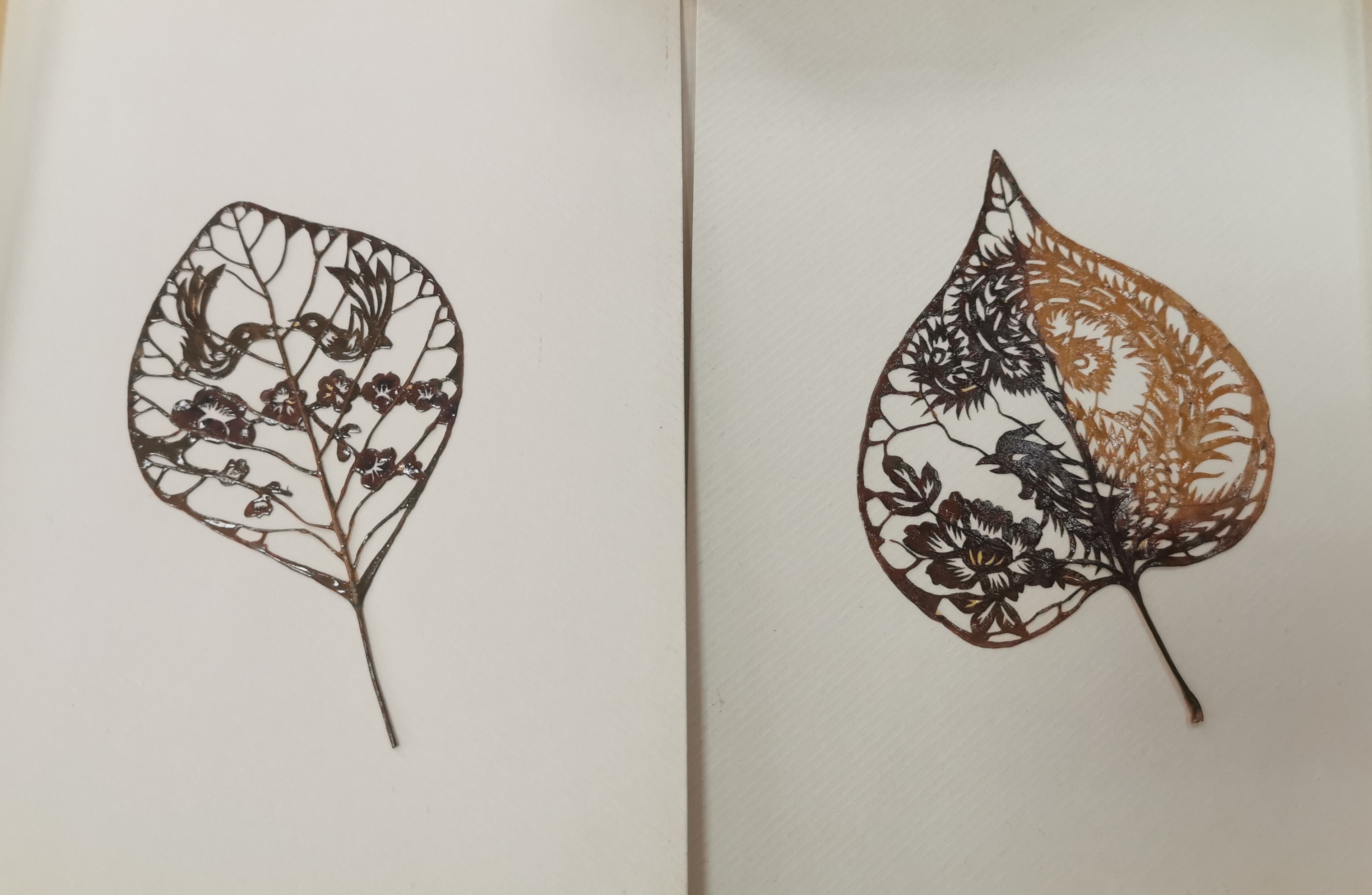 听非遗讲故事济南叶雕济南叶雕看一片叶子的华丽转身