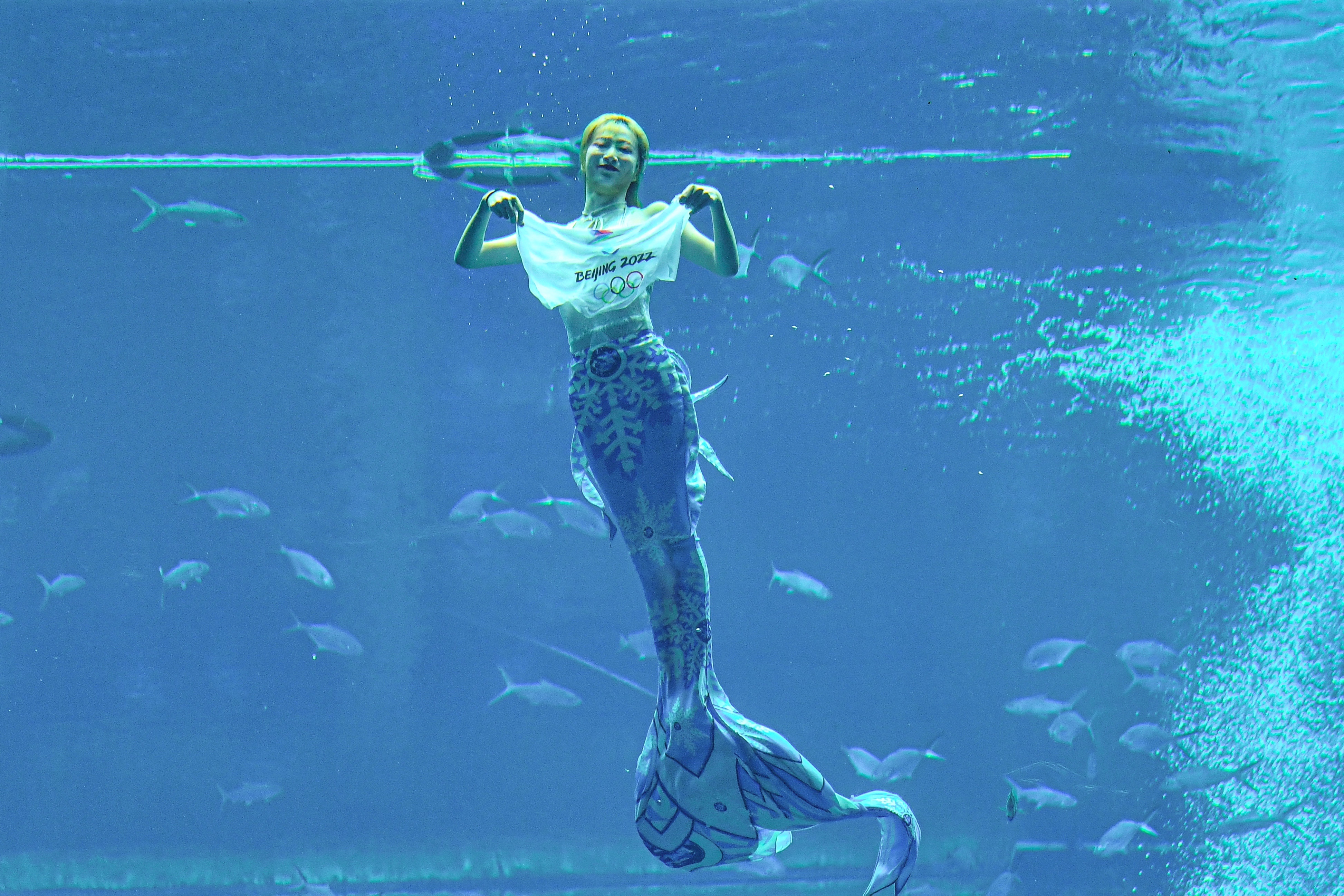 追光这个来自童话故事的运动项目你肯定没见过