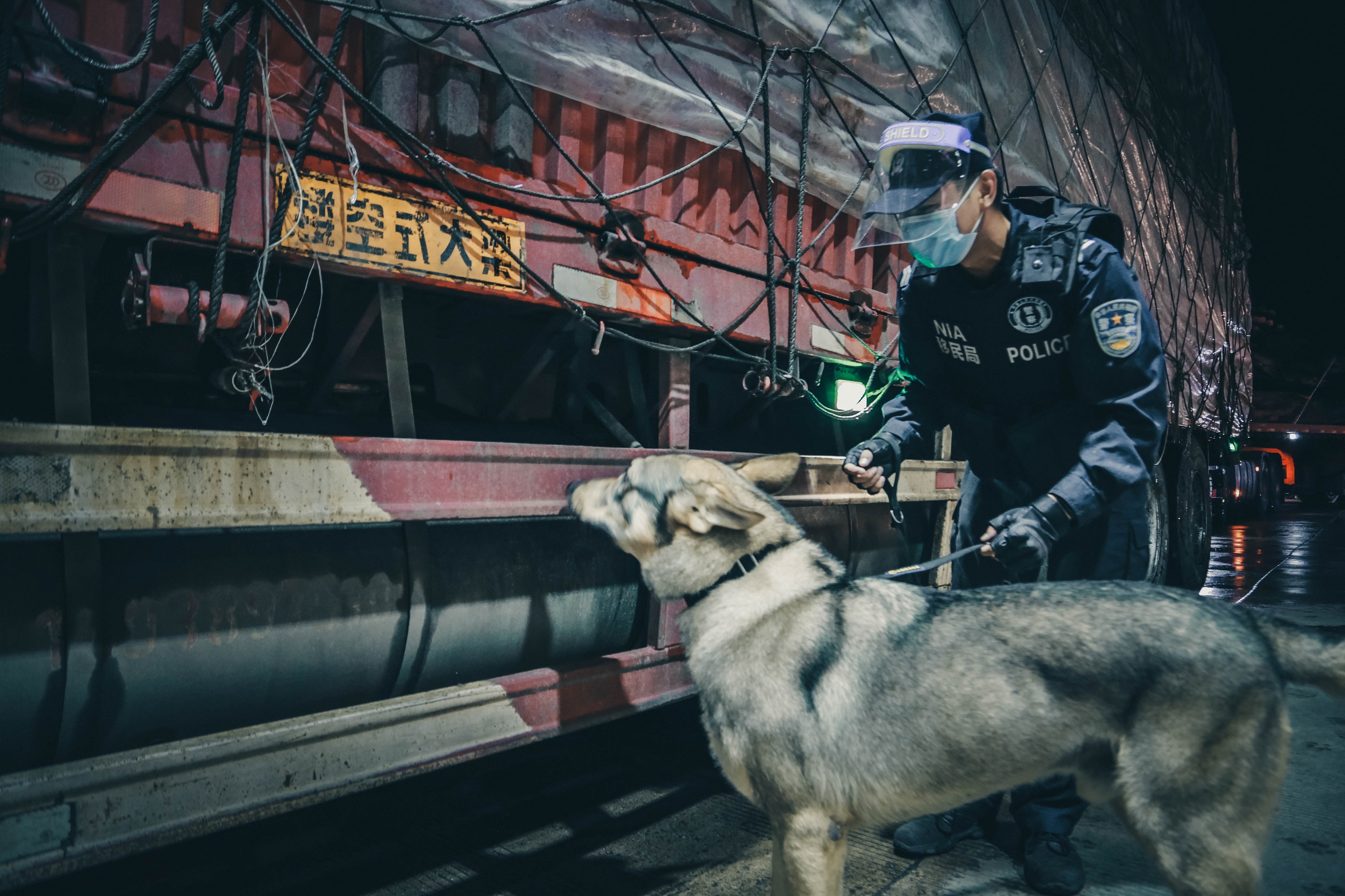 新华全媒丨云南警犬飓风立新功嗅出毒品超过体重