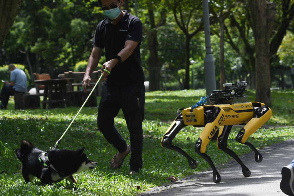新加坡机器狗巡逻抗疫情