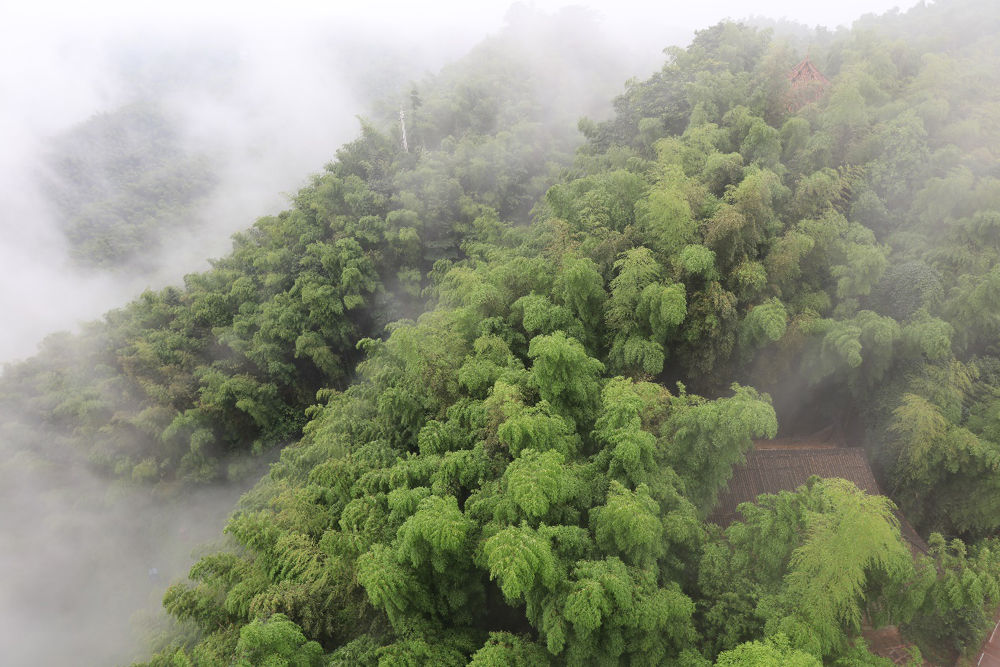 四川长宁云山竹海天上人间