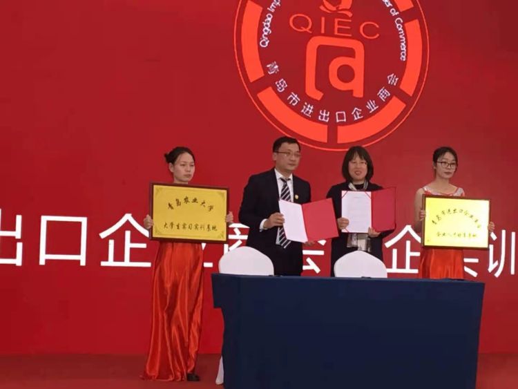 2020青岛市进出口行业峰会暨青岛市(首届)