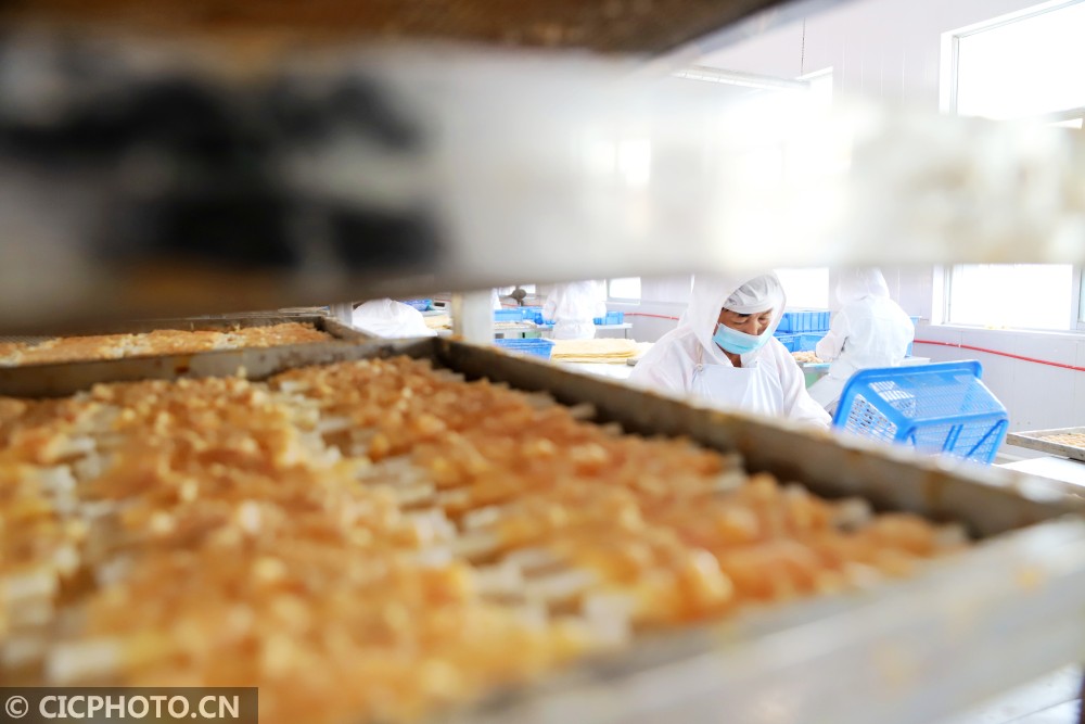 工人在山东省青岛西海岸新区大场镇一家宠物食品企业车间加工出口宠物