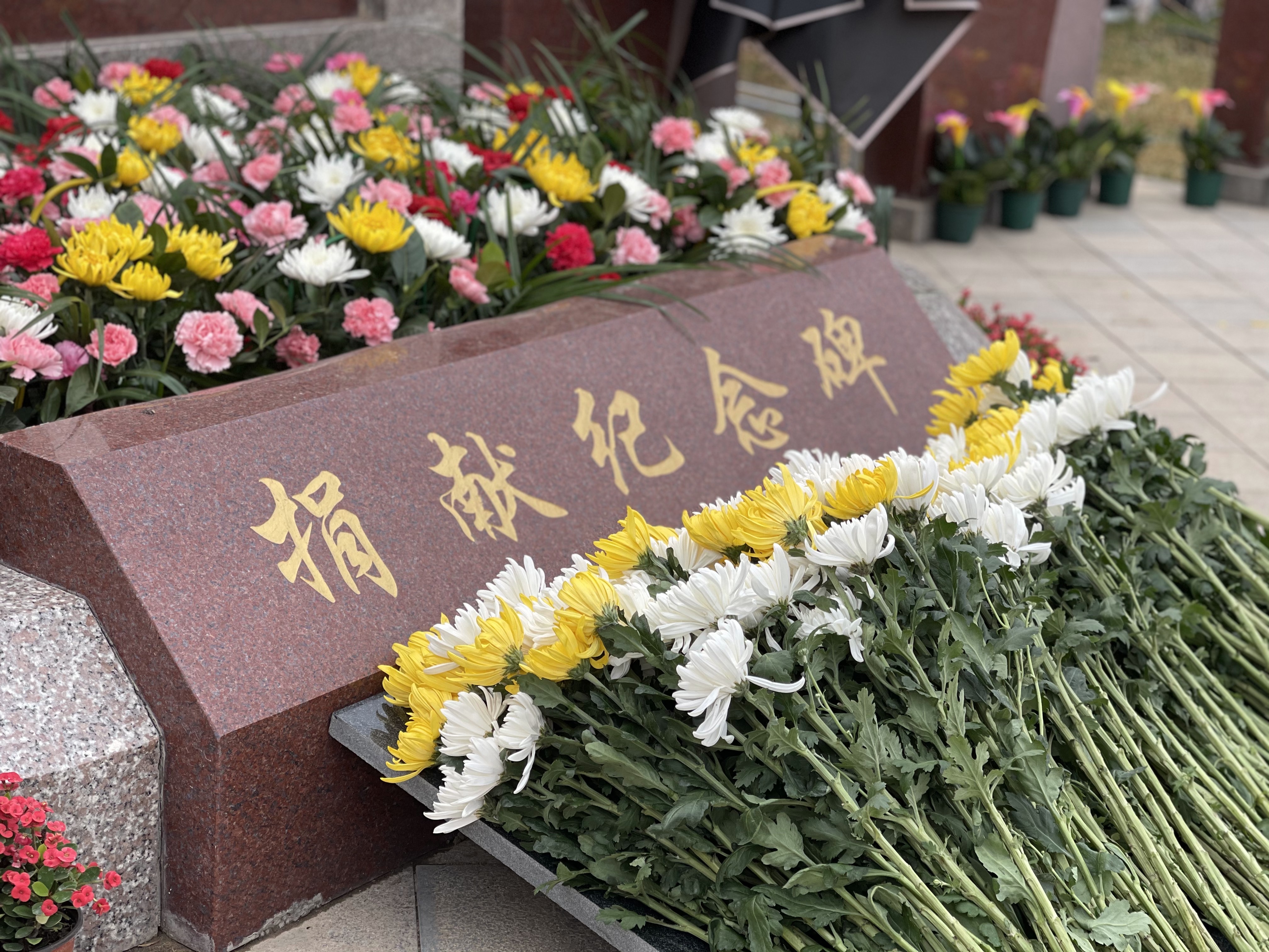 捐献者纪念碑上密密麻麻刻着捐献者的名字,有的是新刻上去的,颜料还