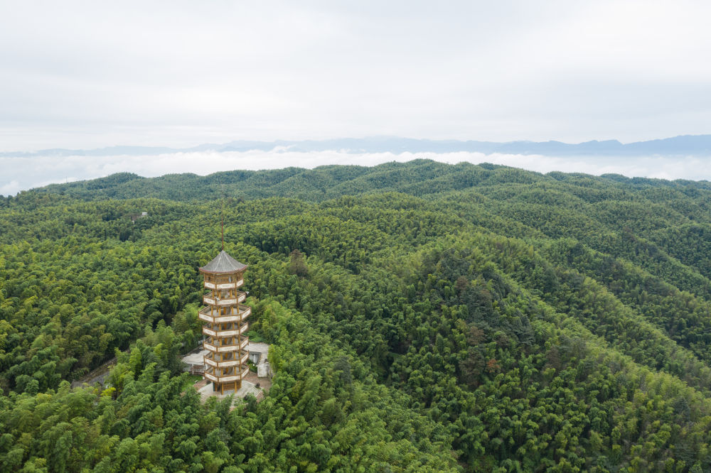 10月8日拍摄的四川宜宾蜀南竹海观海楼(无人机照片).