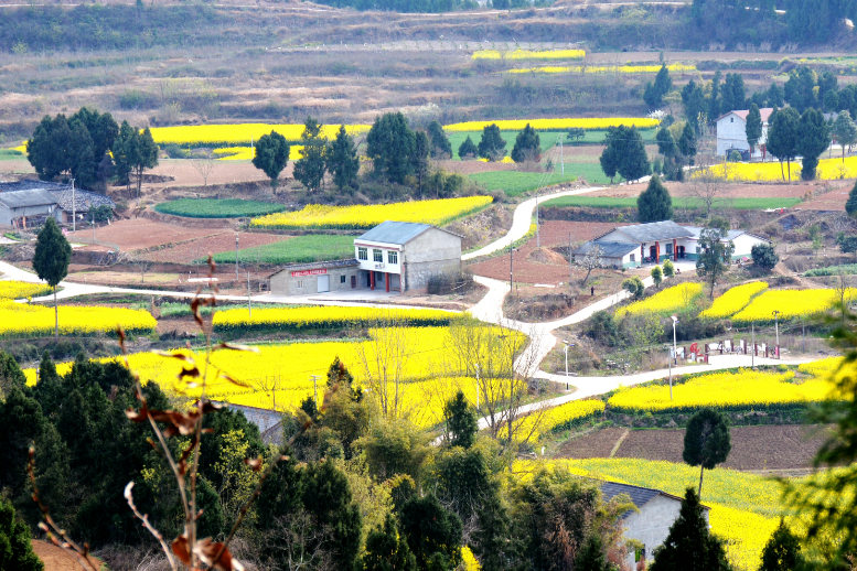 村民为啥从城里搬回村里住因为梓潼这个省级贫困村有了二环路