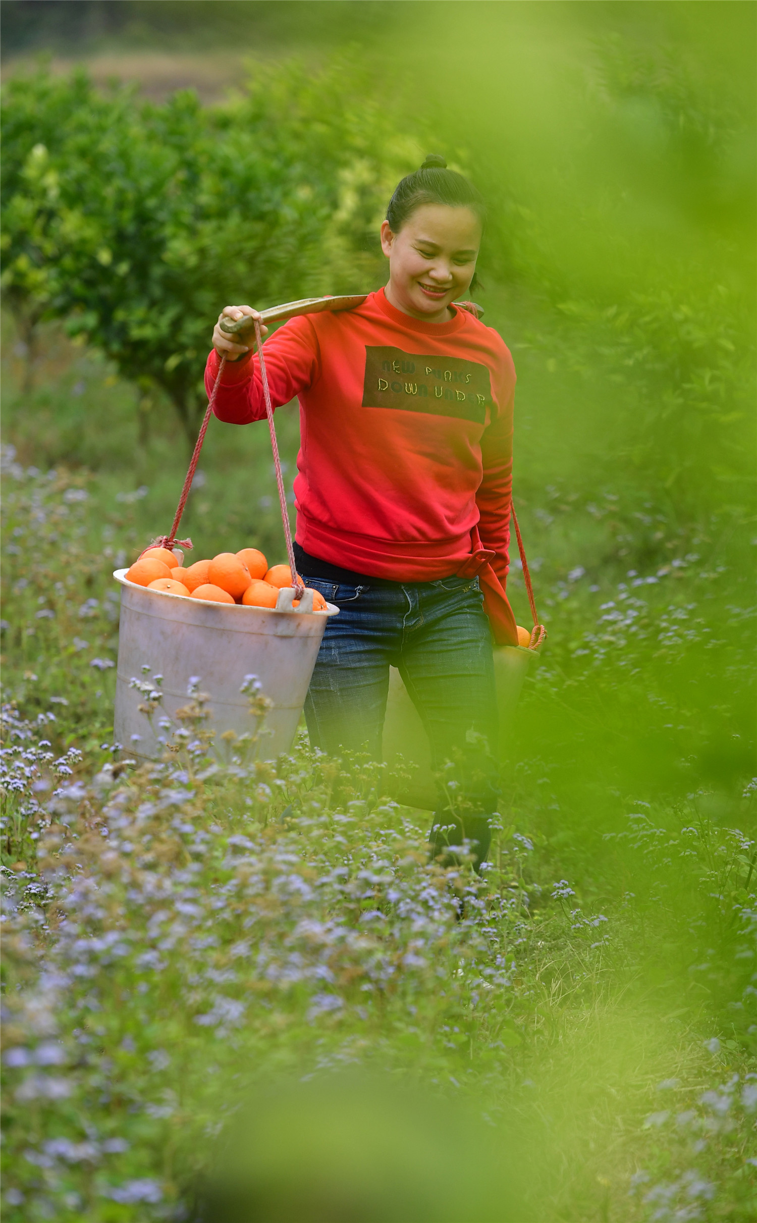 巧妇9妹从农妇到千万粉丝网红