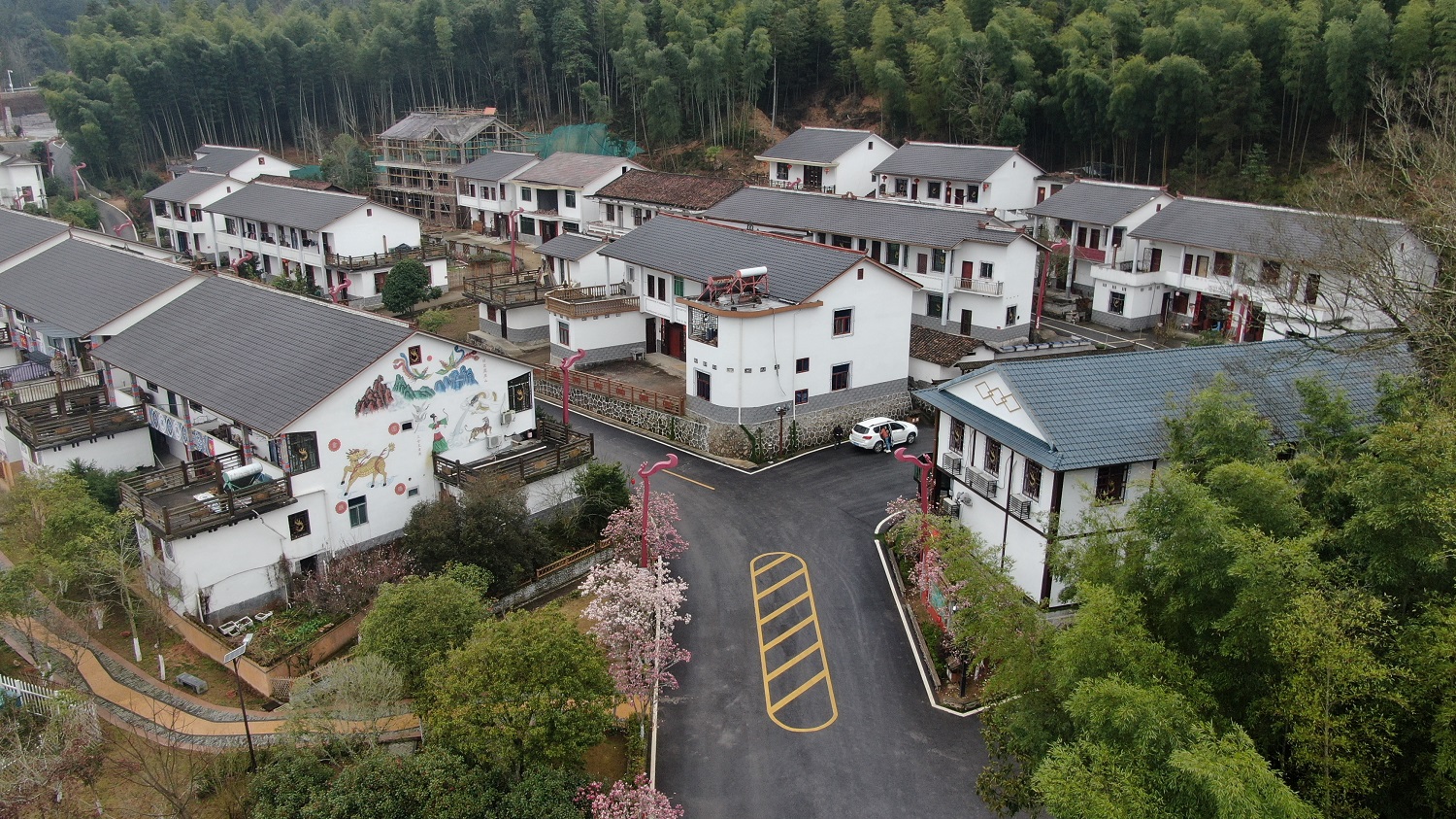 新华全媒我带照片上两会丨金凤凰拓荒牛这个畲族村这样逆袭
