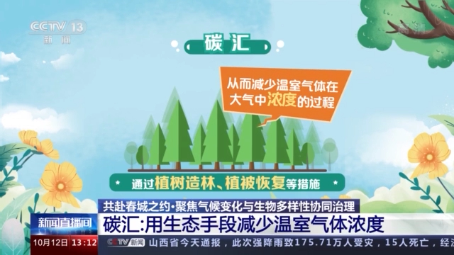 碳匯的基礎上,增加了草原,溼地,海洋等多個生態系統對碳吸收的作用