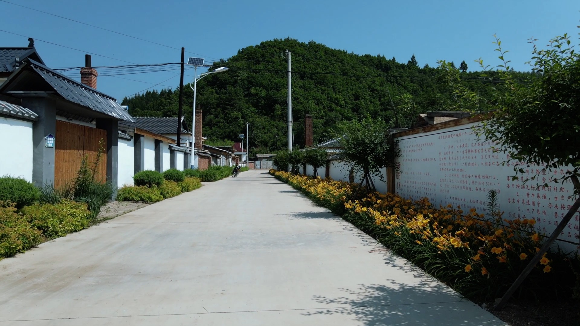 位于吉林省延边朝鲜族自治州图们市石岘镇的河北村,过去村民主要的