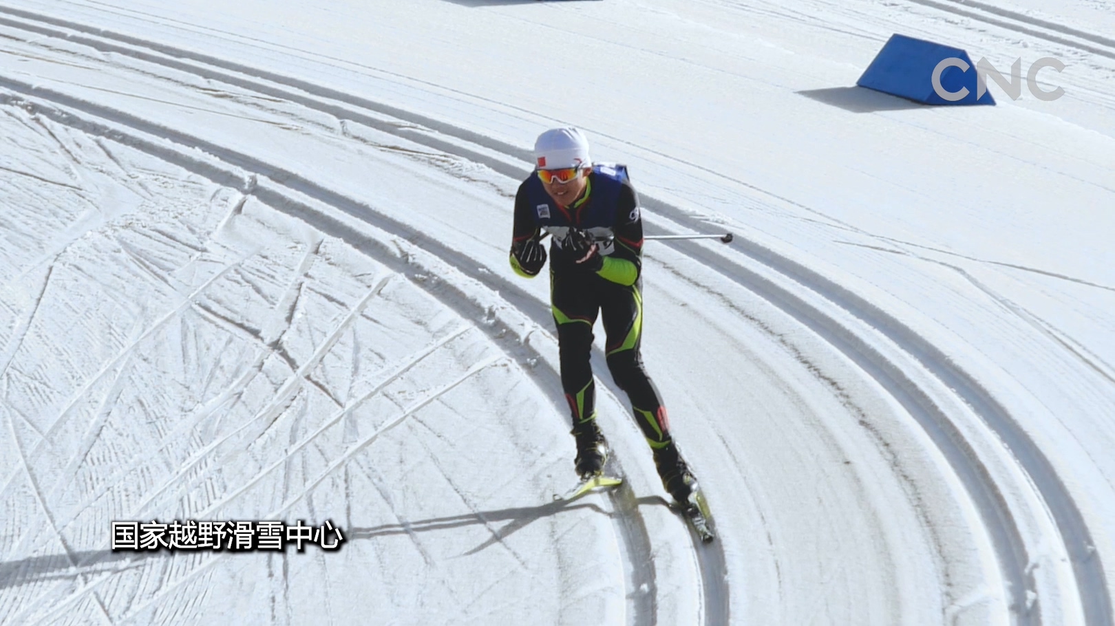 冬奥脚步古杨树的亮相