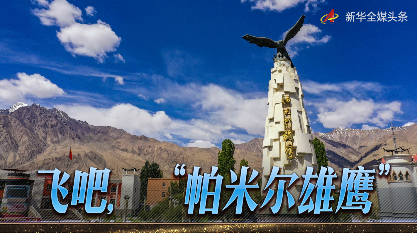 飞吧帕米尔雄鹰