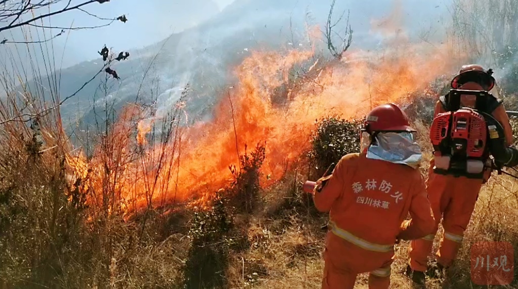 兩大法寶戰山火甘孜州九龍縣三巖龍鄉柏林村408森林火災撲救紀實