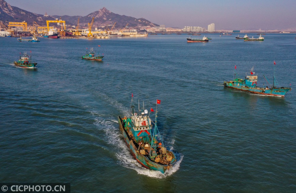 在山东省荣成市石岛渔港,渔民们驾驶渔船出海作业.