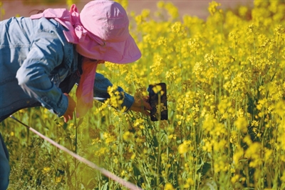 新甫京娱乐怎么下载 Home