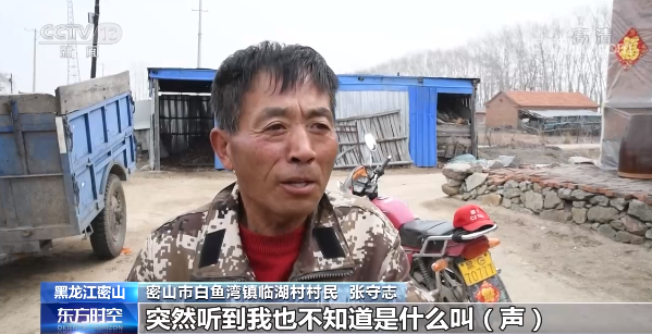 黑龙江省密山市白鱼湾镇临湖村村民报警称在村子里发现一只老虎