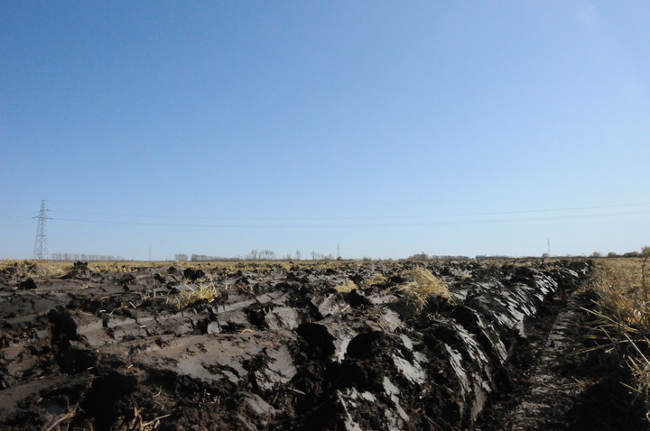 新华全媒黑土地的秘密你了解多少