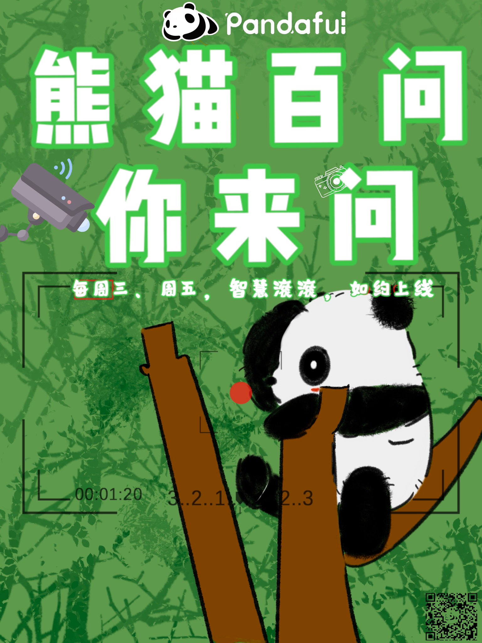 pandaful熊猫社区中国新华新闻电视网(cnc)联合出品【如果您有新闻
