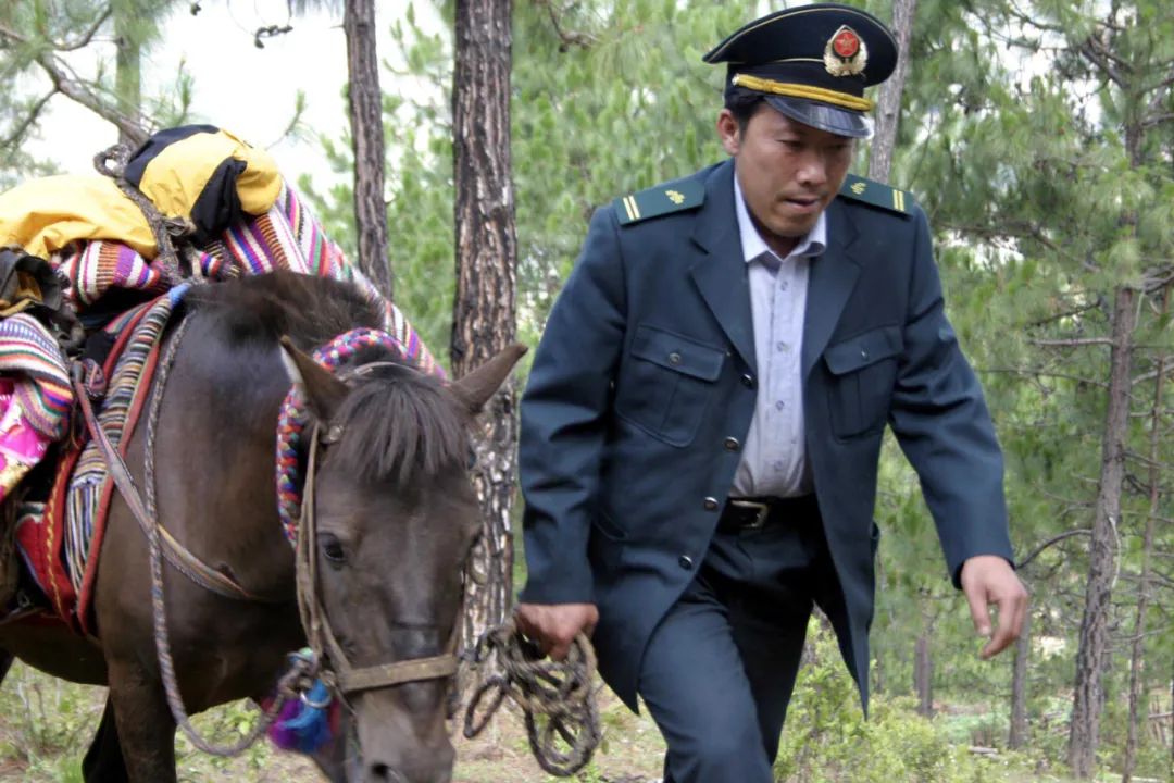 那年的索玛花儿依旧红得滚烫