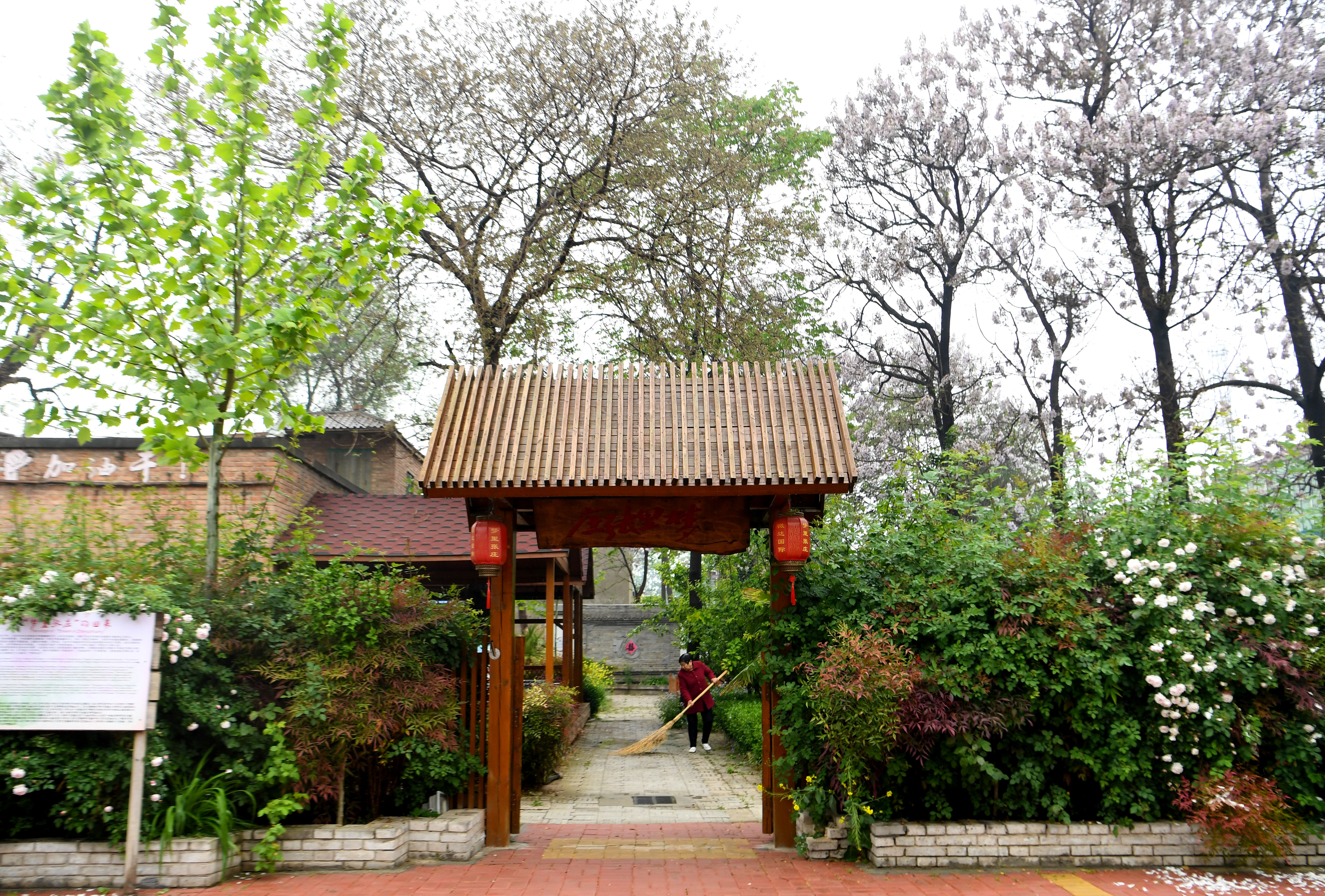 幸福张庄从梦里走出来