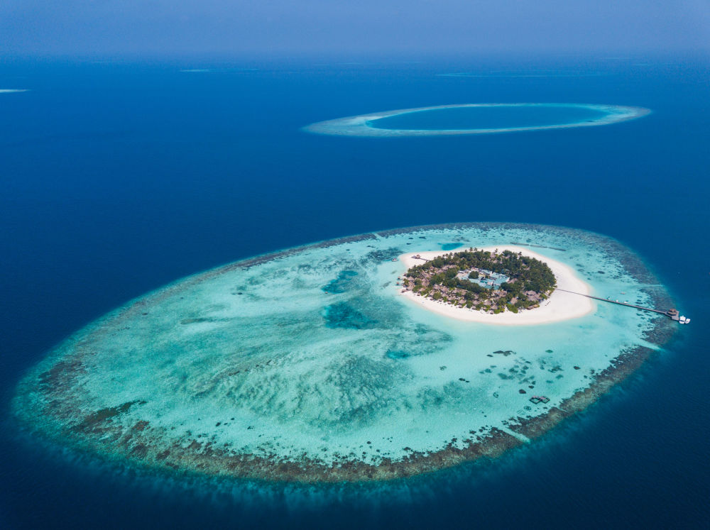 10年间全球逾万平方公里珊瑚礁消亡