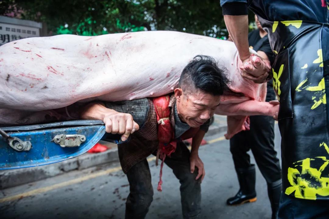 45岁背猪汉17年背近10万头猪用双肩养活一家七口就是为让孩子安心学习