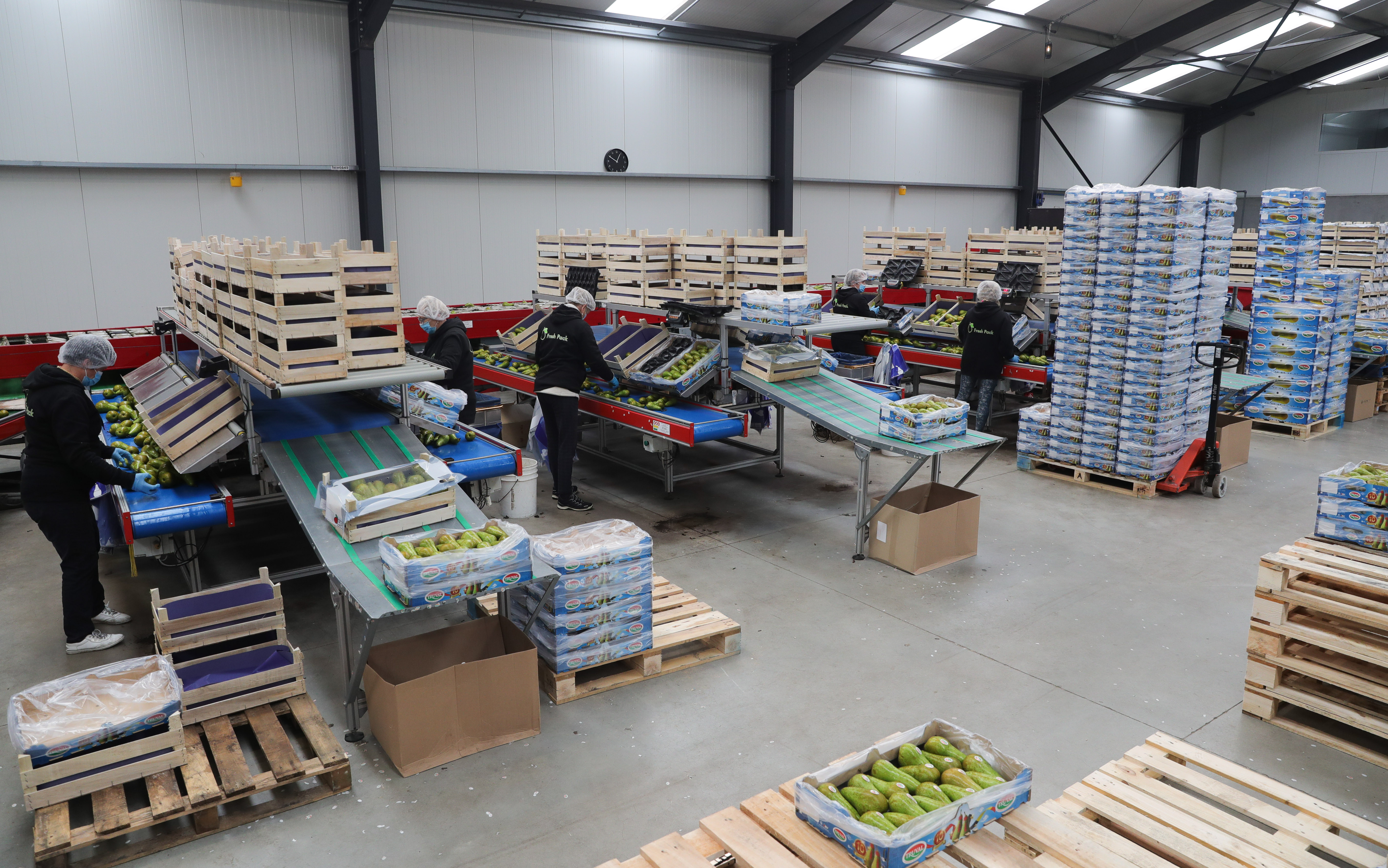 全球连线比利时红啤梨开启进博会甜蜜之旅