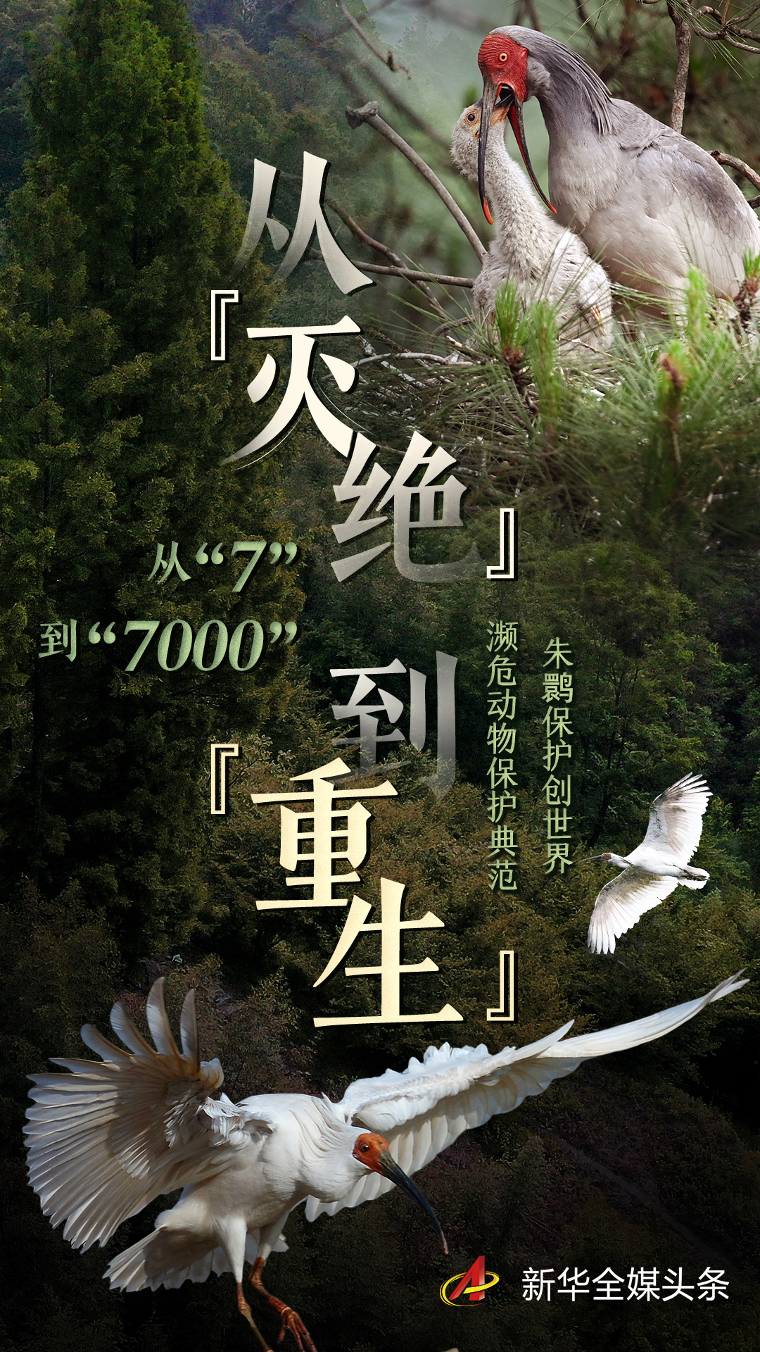 海报从7到7000从灭绝到重生
